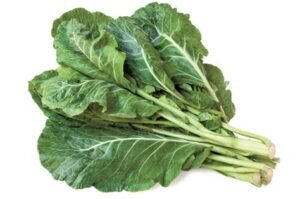 Collard