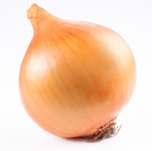 Ripe onion on a white background