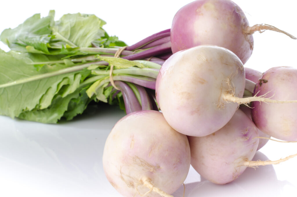 Bunch of fresh turnips