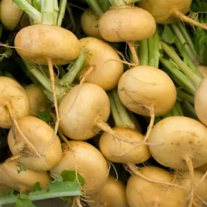 GOLDEN_BALL