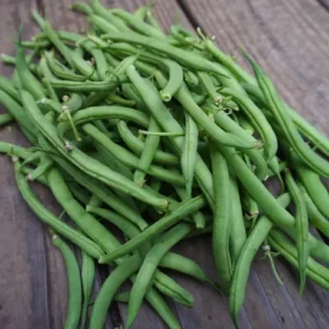 Provider Bean