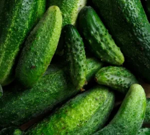 SMR 58 cucumber