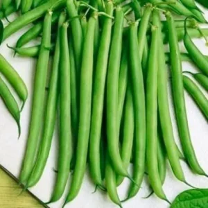 Slenderette Bean