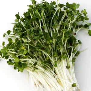 Sprouting broccoli