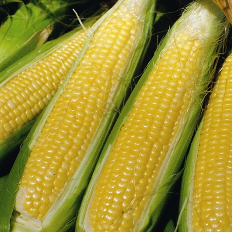 Sweetcorn