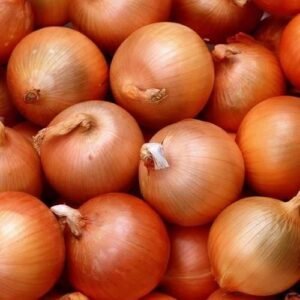 fresh-brown-onion-474235031