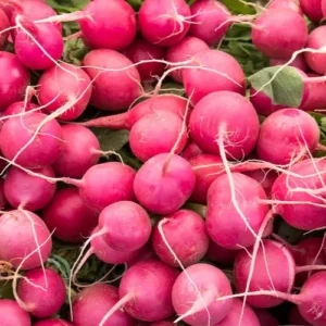 pink Celebration
