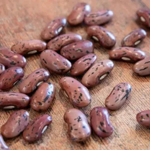 scarlett emporeror runner bean